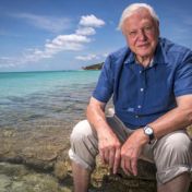 David Attenborough: 100letá legenda přírodovědy, která přišla se žlutými tenisáky David Attenborough: 100letá legenda přírodovědy, která přišla se žlutými tenisáky