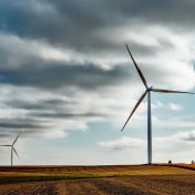 Naděje pro ptáky umírající na lopatkách věrných turbín Naděje pro ptáky umírající na lopatkách věrných turbín