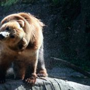 Recenze ZOO Děčín - lesopark, kde toho opravdu hodně uvidíte, zažijete a něco se přiučíte Recenze ZOO Děčín - lesopark, kde toho opravdu hodně uvidíte, zažijete a něco se přiučíte