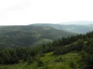 Hřebeny severu Jeseníků aneb Vzhůru do sedel! Hřebeny severu Jeseníků aneb Vzhůru do sedel!: Nenáročná desetikilometrová vycházka lesy a horskými…