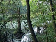 Fotografujeme digitálně - aneb jak upravit fotky v PC Fotografujeme digitálně - aneb jak upravit fotky v PC: Fotografováním se zabývám pouze amatérsky a s…