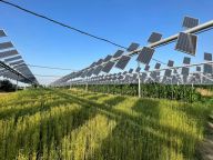 Zas o něco zelenější solární energie Zas o něco zelenější solární energie: Rychlost, s jakou musíme přejít k obnovitelným…