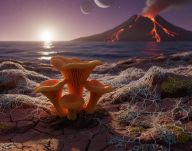 Vědci přepsali historii osidlování souše na Zemi! Kdo byl tedy první? Vědci přepsali historii osidlování souše na Zemi! Kdo byl tedy první?: Tradiční příběhy o kolonizaci souše začínají obvykle…