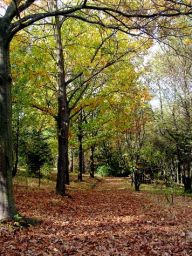 Pozvánka do arboreta Pozvánka do arboreta: Arboretum je místo, kde se můžete setkat s řadou…