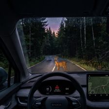 Hraje tichý chod elektromobilu roli v riziku srážky se zvěří? Hraje tichý chod elektromobilu roli v riziku srážky se zvěří?