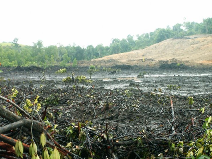 zobrazit detail snímku: Balikpapan