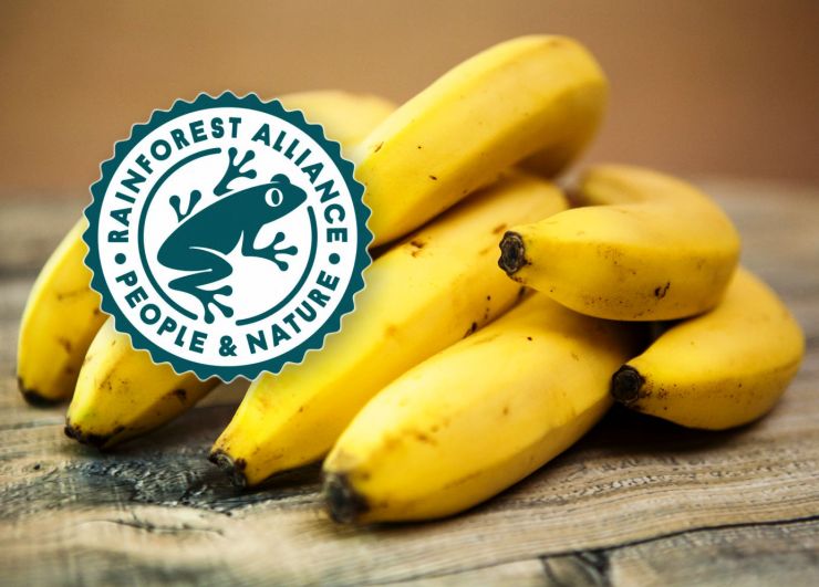 zobrazit detail snímku: Banány a logo Rainforest Alliance