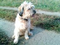 Inspirace přírodou (2. díl) – i chovaná zvířata mohou být bez nemocí Inspirace přírodou (2. díl) – i chovaná zvířata mohou být bez nemocí: Protože historie medicíny - to je jeden velký soubor…