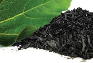 Role uhlíku v půdě a biouhel jako možnost hospodaření v zemědělství Role uhlíku v půdě a biouhel jako možnost hospodaření v zemědělství : Uhlík, základní stavební kámen všech organických…