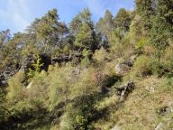 Kytlice, variace na téma pohádek z mechu a kapradí Kytlice, variace na téma pohádek z mechu a kapradí: Kalendářní jaro je tady. Nebude trvat dlouho a…