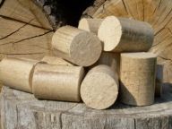 Dřevo, stále častější alternativa topení k drahému plynu a špinavému uhlí Dřevo, stále častější alternativa topení k drahému plynu a špinavému uhlí: Dni a zejména noci jsou čím dál chladnější a s nimi…