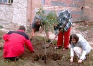 Camphill České Kopisty Camphill České Kopisty: V dnešním článku bych vás chtěla seznámit s…