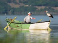 Přátelství k čápům spojilo 15 vesnic z 15 zemí. Přidá se i Česko? Přátelství k čápům spojilo 15 vesnic z 15 zemí. Přidá se i Česko?: Chybí vám poslední dobou pozitivní zprávy? Jednu pro…