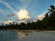 Teplotní poměry v České republice Teplotní poměry v České republice: Letošní jaro se hodně diskutovalo o panujících…