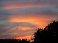 Viděli jste už o letošních prázdninách červánky? Viděli jste už o letošních prázdninách červánky?: První prázdninový týden s sebou přinesl jak jasnou…