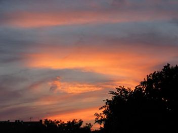 červánky - klikněte pro zobrazení detailu červánky - klikněte pro zobrazení detailu