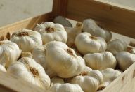 Proč je český česnek kvalitnější než ten z Číny a Španělska? (PR) Proč je český česnek kvalitnější než ten z Číny a Španělska? (PR): Česnek patří mezi potraviny, které mají ve své…