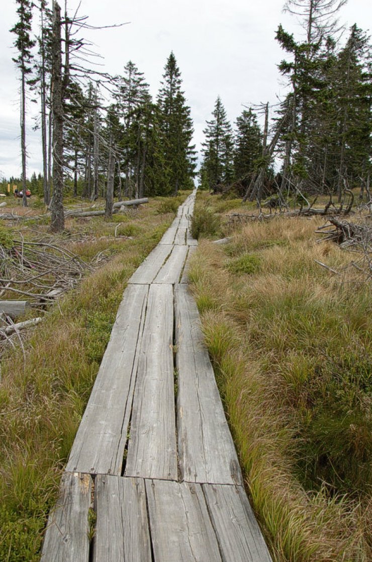 zobrazit detail snímku: Povalový chodník