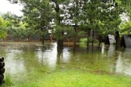 Záchranné stanice mají vody po krk! Záchranné stanice mají vody po krk!: Mokrá ptáčata zahřívají díky přerušení elektřiny pod…