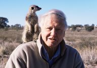 Skutečně napsal David Attenborough dopis pro Donalda Trumpa a sdílel ho na sociálních sítích? Skutečně napsal David Attenborough dopis pro Donalda Trumpa a sdílel ho na sociálních sítích?: Sir David Attenborough. Jméno, které je po…