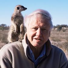Skutečně napsal David Attenborough dopis pro Donalda Trumpa a sdílel ho na sociálních sítích? Skutečně napsal David Attenborough dopis pro Donalda Trumpa a sdílel ho na sociálních sítích?