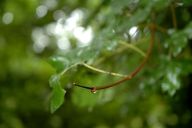 „Tento způsob léta zdá se mi poněkud nešťastným.“ „Tento způsob léta zdá se mi poněkud nešťastným.“: Tahle Vančurova věta přesně vystihuje aktuální…