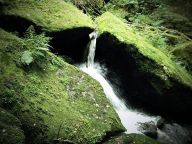 Vyšší brod pro pěší – Opatská naučná stezka - k pramenům věčného mládí Vyšší brod pro pěší – Opatská naučná stezka - k pramenům věčného mládí: Léta páně dvoutisícího desátého roku, v horký to…