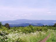 Doupovské hory Doupovské hory: Kdo z mužů majících za sebou vojenskou službu by…