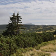 Sněžka z Jantarové stezky ještě na polské straně