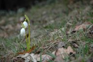 Jaký vliv má počasí na rozšiřování koronaviru Jaký vliv má počasí na rozšiřování koronaviru : Experti zodpověděli otázku, zda souvisí rozšíření…