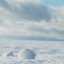 Svět pod sněhem - Tajemné království zvané subnivium Svět pod sněhem - Tajemné království zvané subnivium