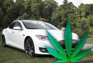 Budou elektromobily jezdit na baterie z konopí? Budou elektromobily jezdit na baterie z konopí?: Jedním z problémů dnešních elektromobilů jsou…