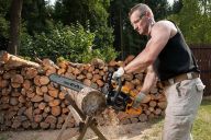 Jak zpracovat dřevo z vlastní zahrady a lesa? Jak zpracovat dřevo z vlastní zahrady a lesa? : Využití dřeva z prořezávání stromů a kácení starých…