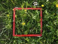 Švýcarský stroj času dokazuje, jak zemědělství ničí přírodu Švýcarský stroj času dokazuje, jak zemědělství ničí přírodu: Louky jsou pro nás symbolem léta a pestré přírody.…