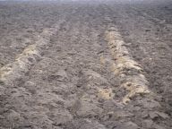 Jděme po zelené…., aneb nechme půdu zarůst Jděme po zelené…., aneb nechme půdu zarůst: Území České republiky patří mezi země s…