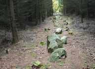 Kounovské řady – přírodní místo plné mystiky Kounovské řady – přírodní místo plné mystiky: O kounovských kamenných řadách se příliš neví,…