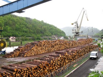 zobrazit detail snímku: Terminál Děčín se dřevem směřujícím na lodích do zahraničí (Čína apod.)