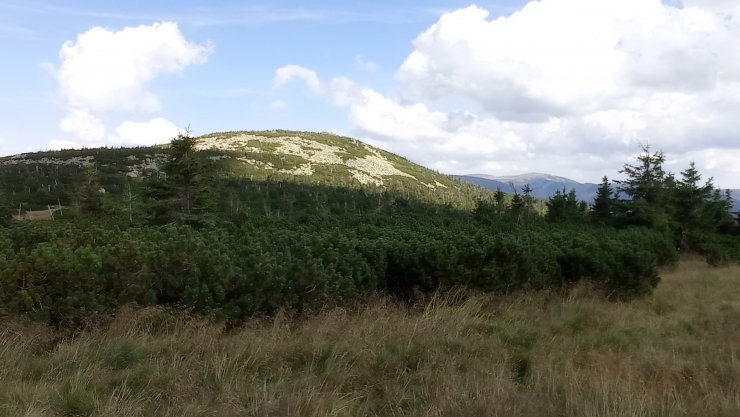 zobrazit detail snímku: Krkonoše pohled zpět z Černého sedla