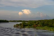Máme se vzdát písku, abychom měli pitnou vodu? Asijská řeka Mekong a česká Morava ukazuje, že volba je blíž, než si myslíme Máme se vzdát písku, abychom měli pitnou vodu? Asijská řeka Mekong a česká Morava ukazuje, že volba je blíž, než si myslíme : Kambodžské jezero Tonle Sap je jedním z…