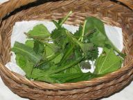 Ekodoporučení v době epidemie koronaviru Ekodoporučení v době epidemie koronaviru: Šíření viru COVID-19 přináší řadů důsledků pro…