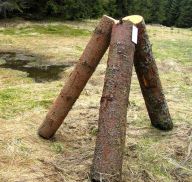 Jedovatá chemie v NP Šumava byla povolena nezákonně Jedovatá chemie v NP Šumava byla povolena nezákonně: Úředníci ministra Chalupy prohráli další soud s…