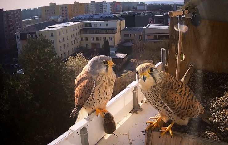 zobrazit detail snímku: Společné foto