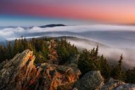 Fotografování přírody: krajina, detaily i divoká zvířata Fotografování přírody: krajina, detaily i divoká zvířata: Rádi trávíte čas v přírodě a chcete její krásu…