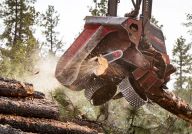 Politici mluví o záchraně lesů, ale štědře dotují jejich likvidaci Politici mluví o záchraně lesů, ale štědře dotují jejich likvidaci: Politici se rádi staví do role zachránců planety, na…