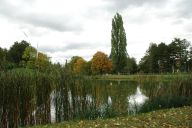 Podzim - ideální čas na výsadbu veřejné zeleně Podzim - ideální čas na výsadbu veřejné zeleně: Tématika veřejné zeleně se dotýká dendrologie,…