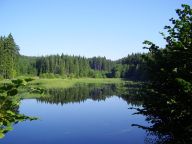Jaké bude letošní léto Jaké bude letošní léto : Chcete vědět, jaké budou letošní prázdninové měsíce…