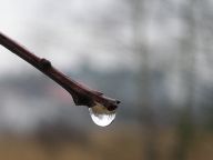 Pranostiky vztahující se ke svatému Medardovi Pranostiky vztahující se ke svatému Medardovi : V tomto článku přináším přehled dostupných pranostik…