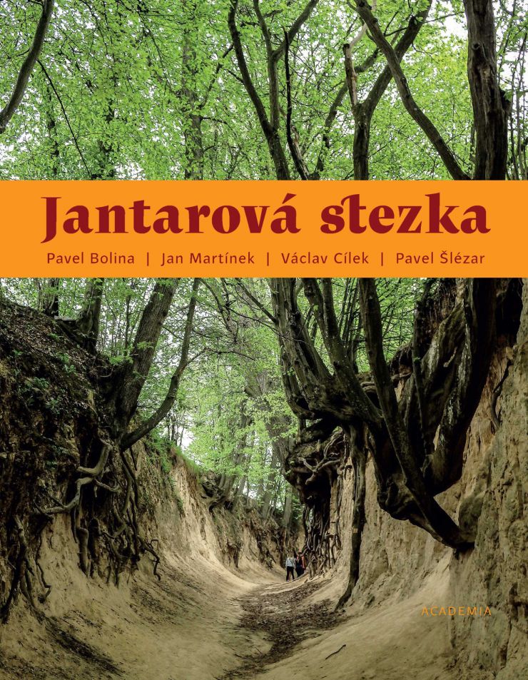 zobrazit detail snímku: Obálka knihy Jantarová stezka