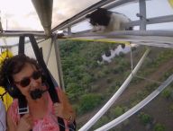 Piloti, před letem nezapomeňte zkontrolovat kočku! Piloti, před letem nezapomeňte zkontrolovat kočku!: Piloti musí před každým letem zkontrolovat řadu věcí…