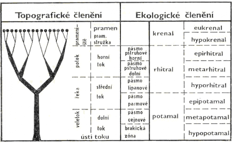 zobrazit detail snímku: Členění toku